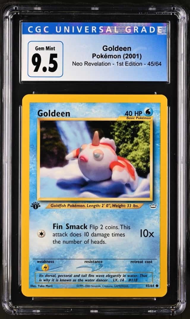 Goldeen