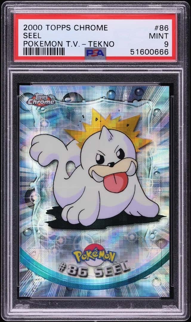 Seel