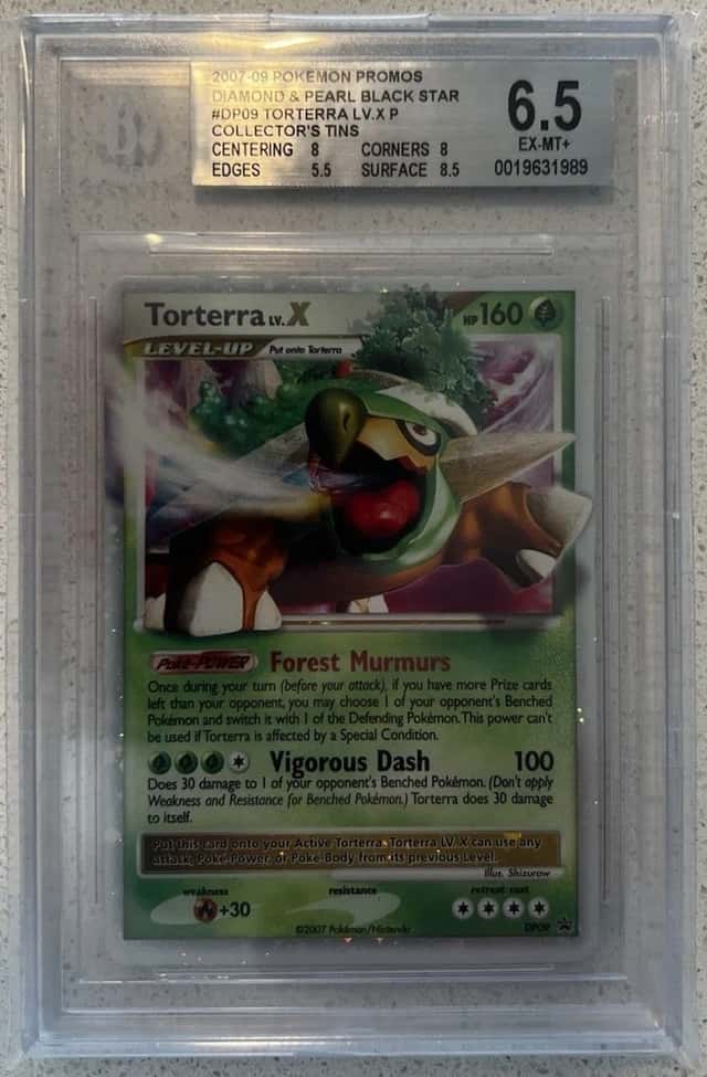 Torterra Lv X