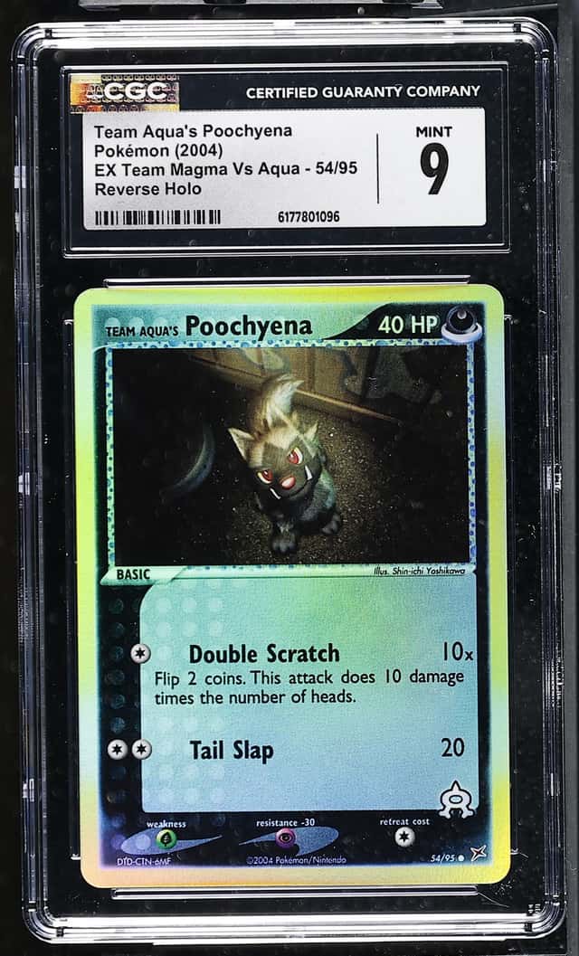 Aqua's Poochyena