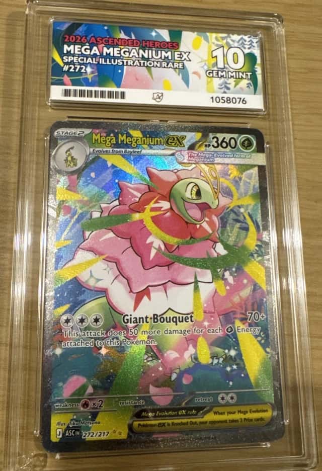 Mega Meganium Ex