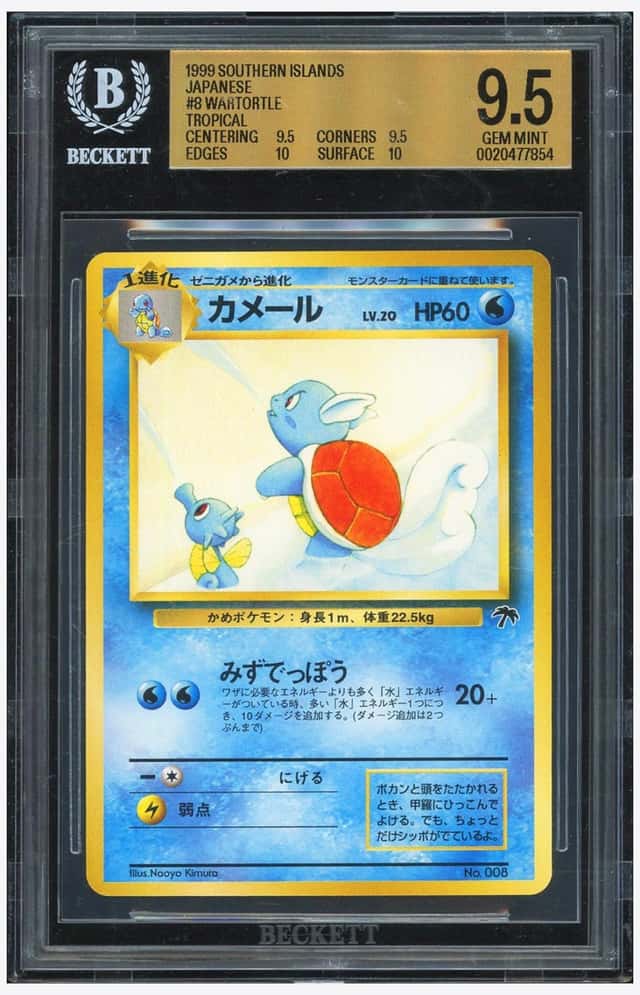 Wartortle