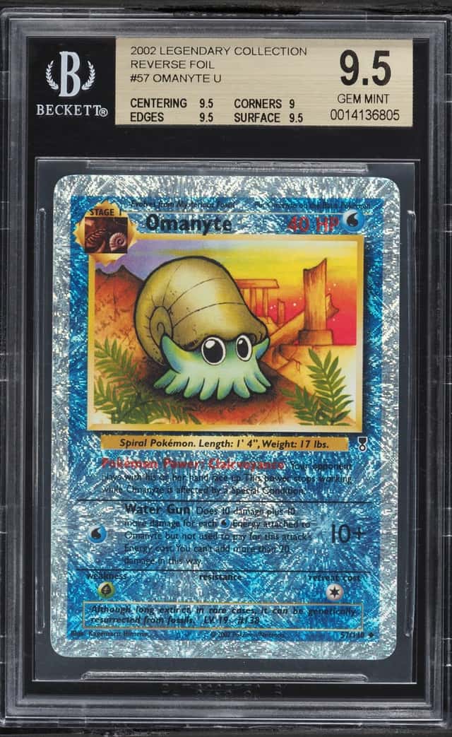 Omanyte