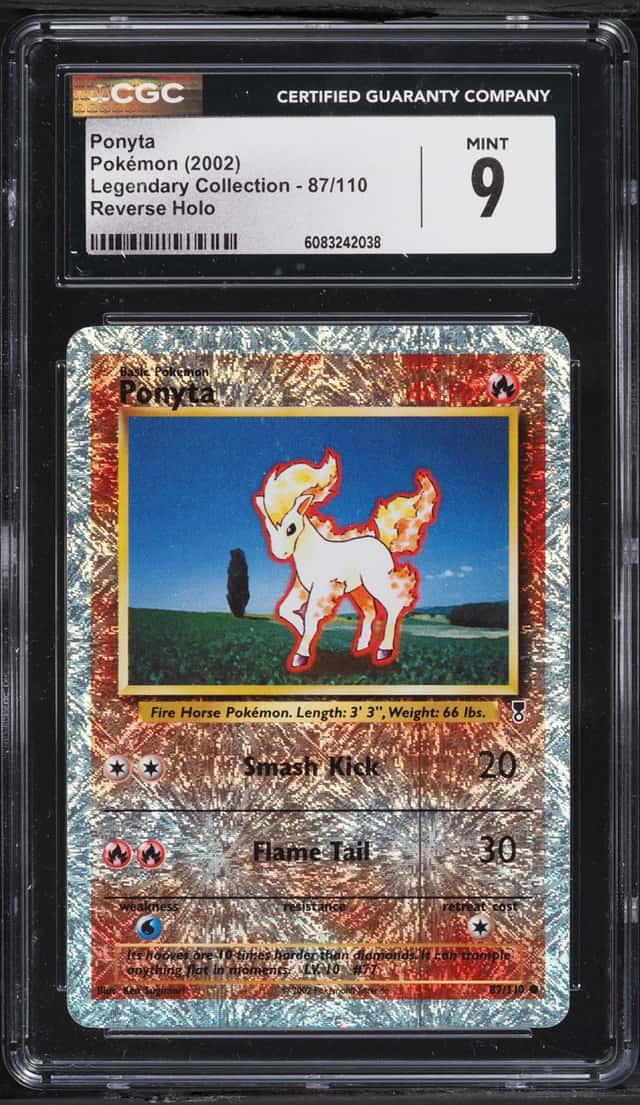 Ponyta