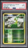 Sceptile