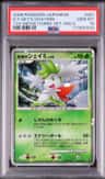 Icy Sky'S Shaymin