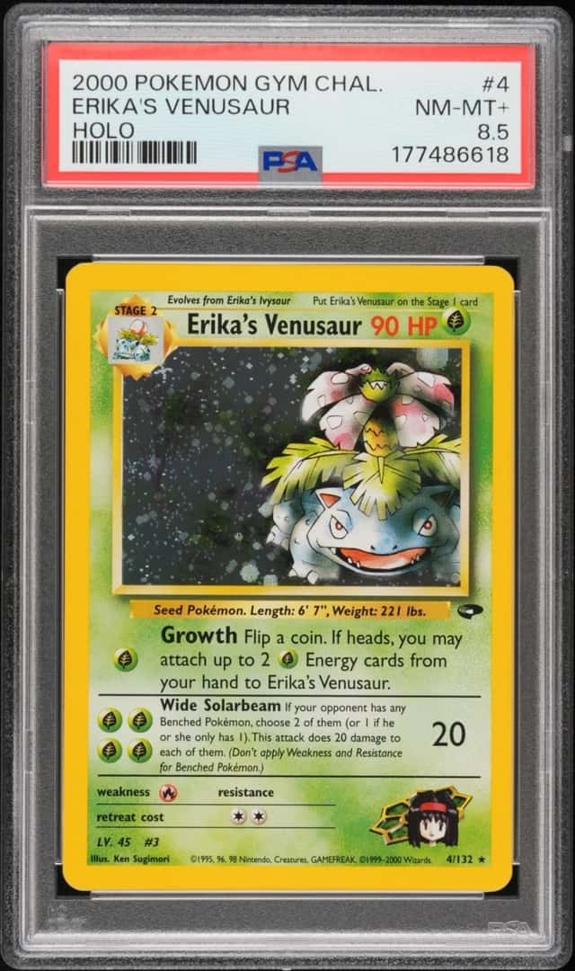 Erika's Venusaur