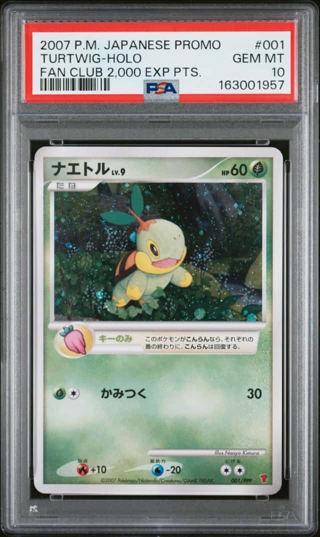Turtwig
