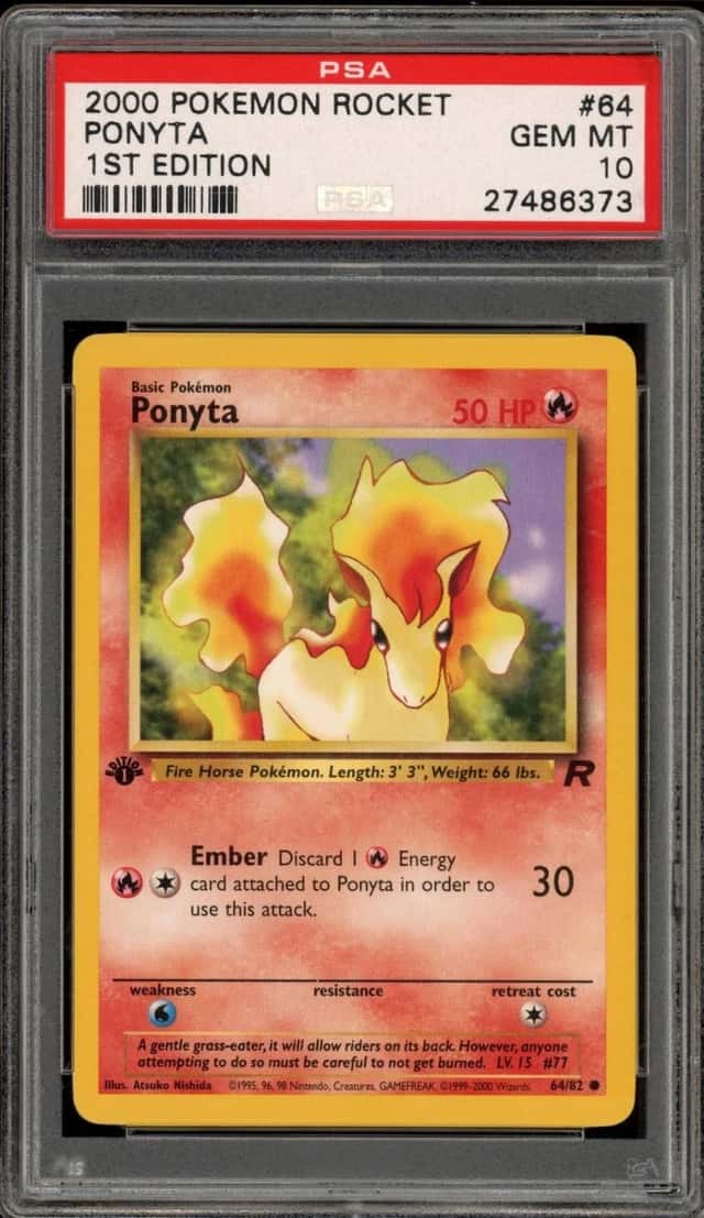 Ponyta