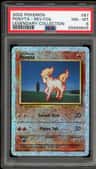 Ponyta