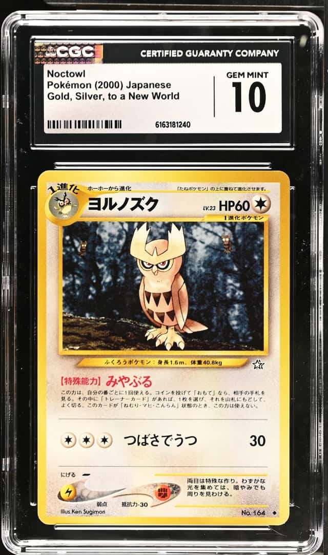 Noctowl