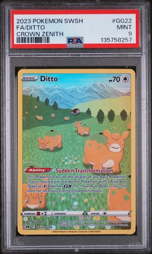 Ditto