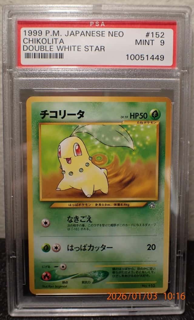 Chikorita