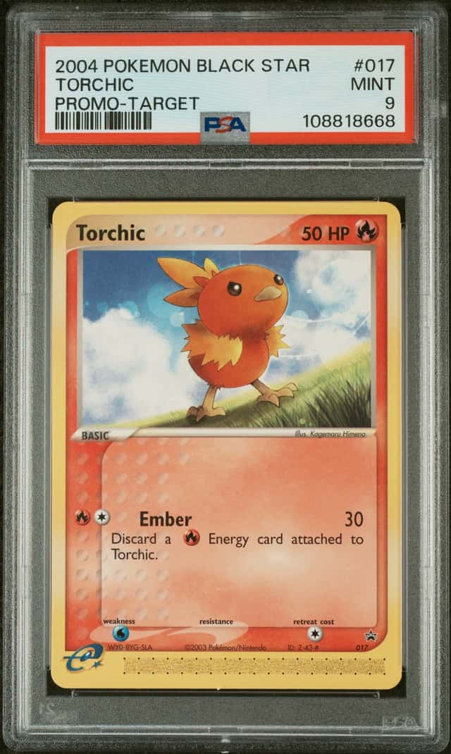 Torchic