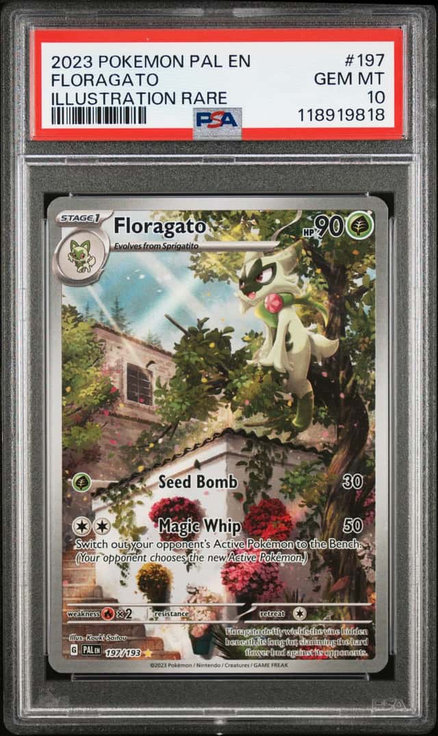 Floragato