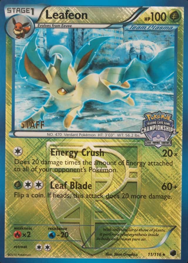 Holo · Championships Crosshatch Euro Regional Spring Staff