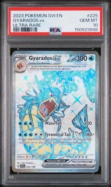 GYARADOS ex