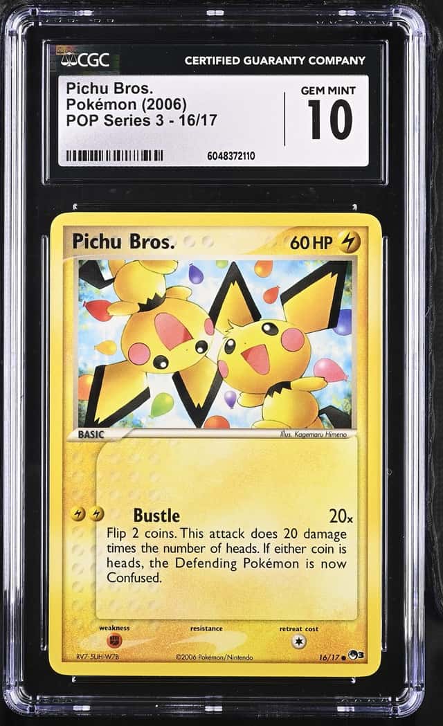 Pichu Bros