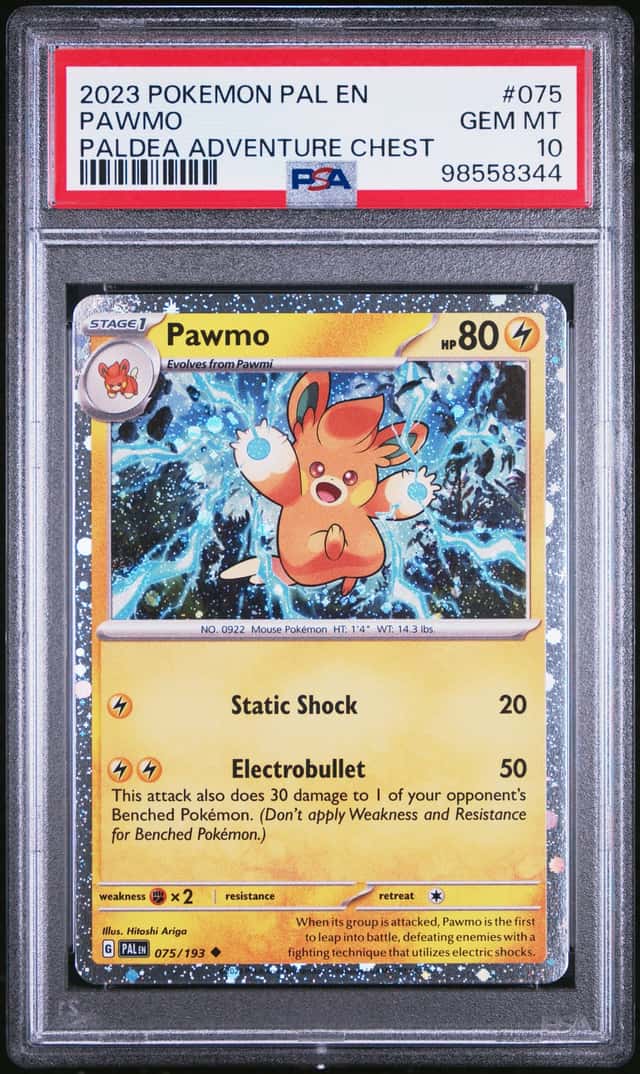 Pawmo
