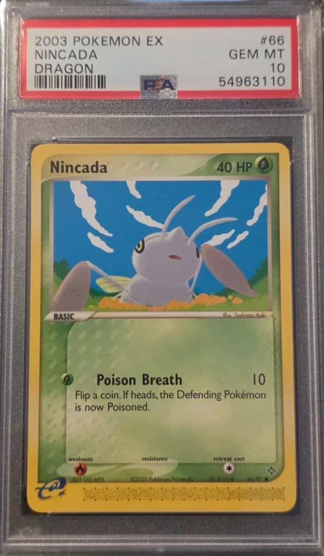 Nincada