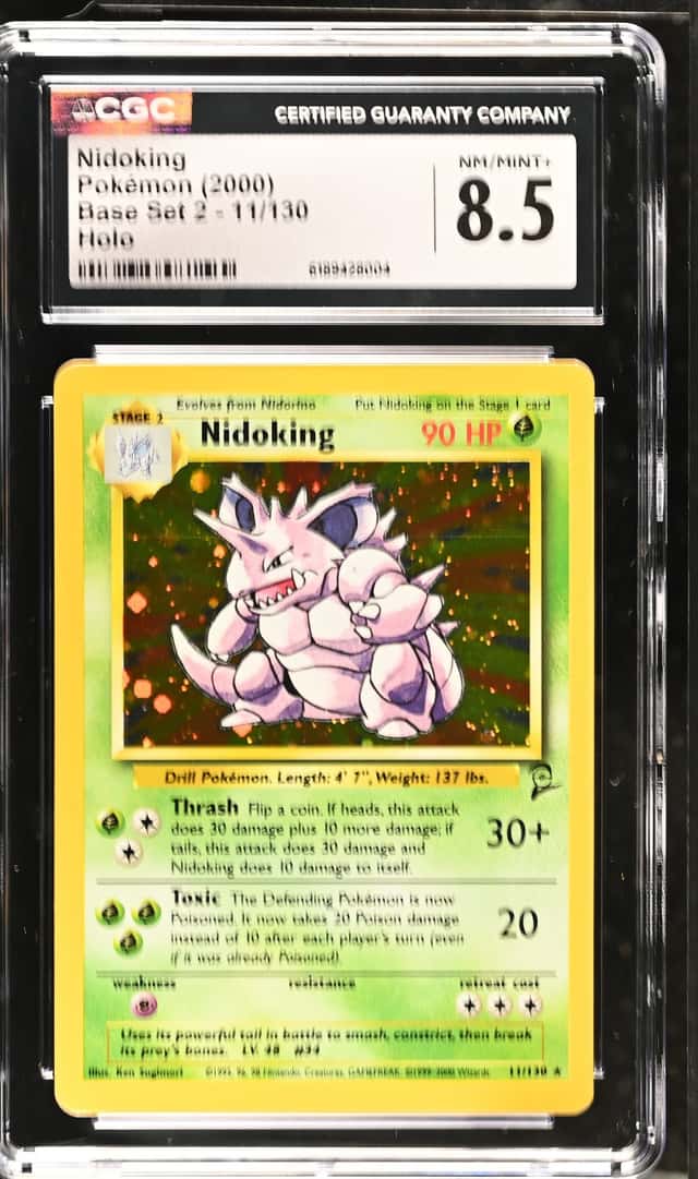 Nidoking