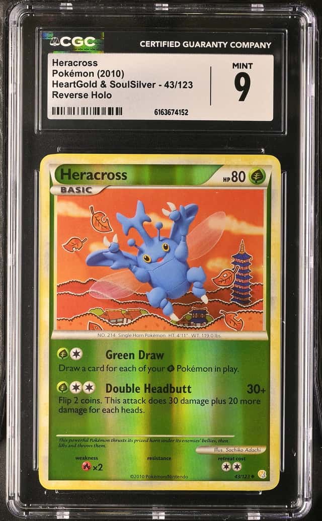Heracross