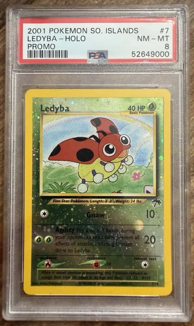 Ledyba