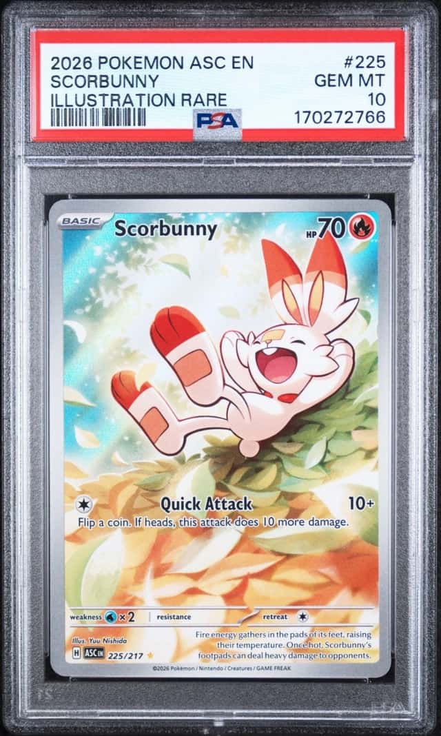 Scorbunny