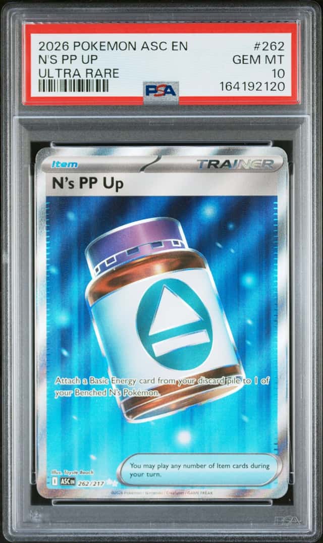N's PP Up