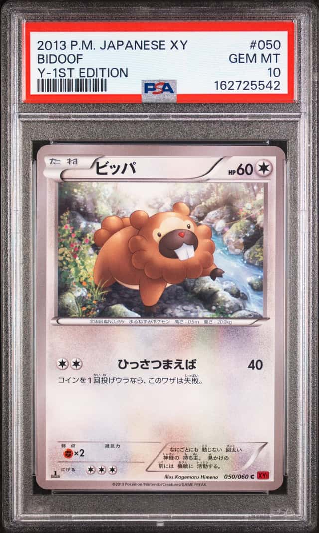 Bidoof