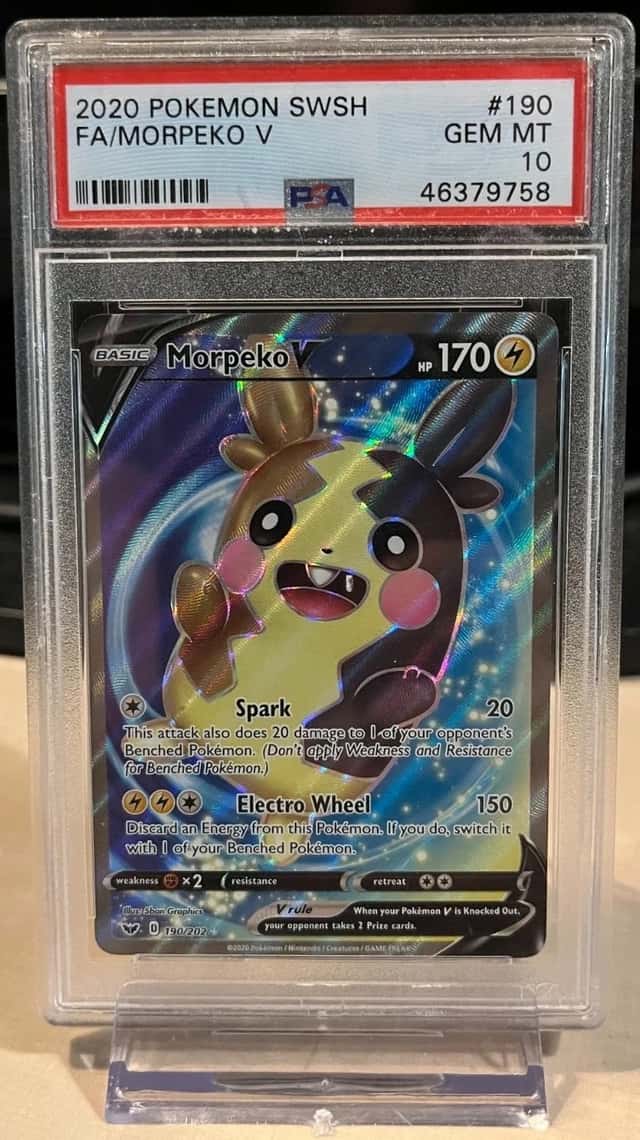 Morpeko V