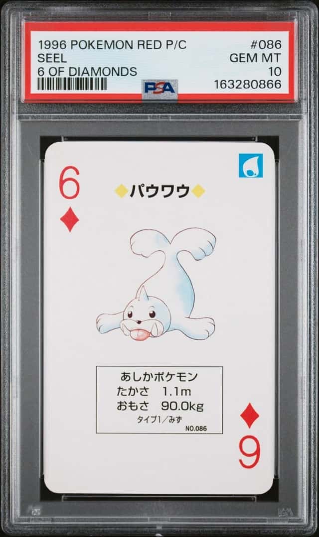 Seel