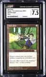 Null Rod
