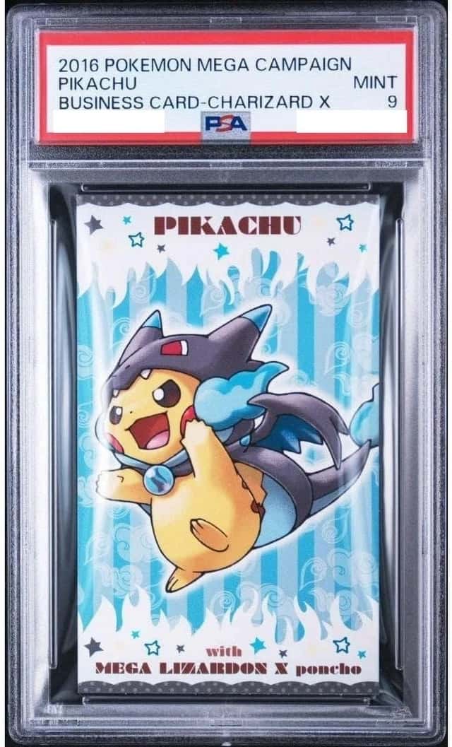 Pncho