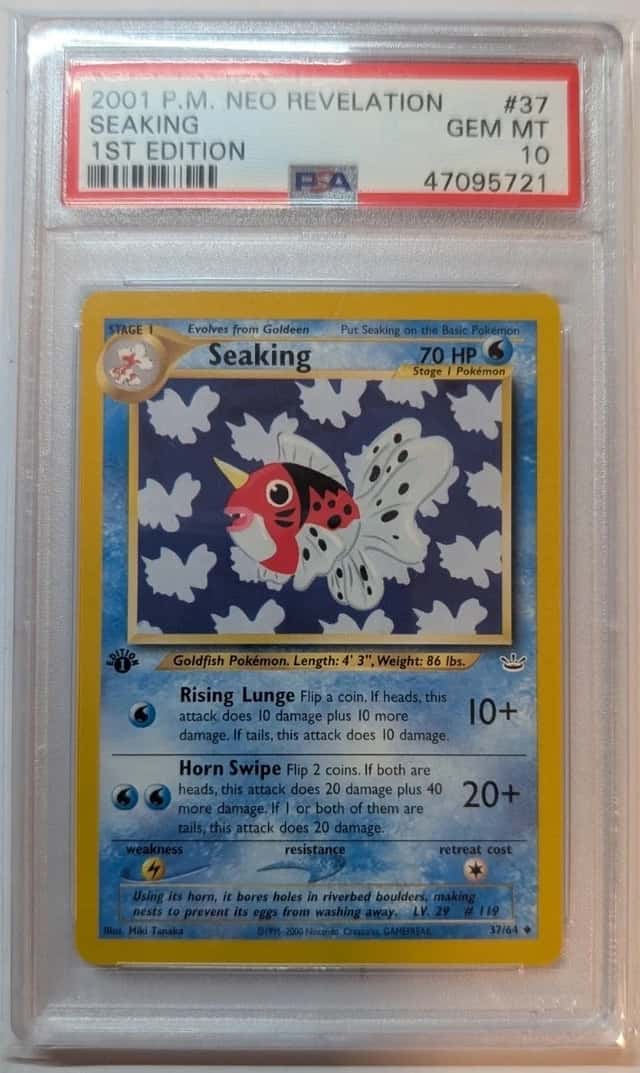 Seaking