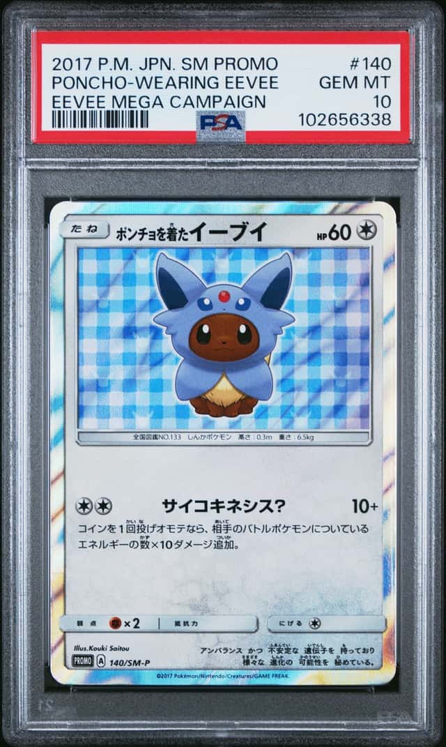 Poncho-Wearing Eevee