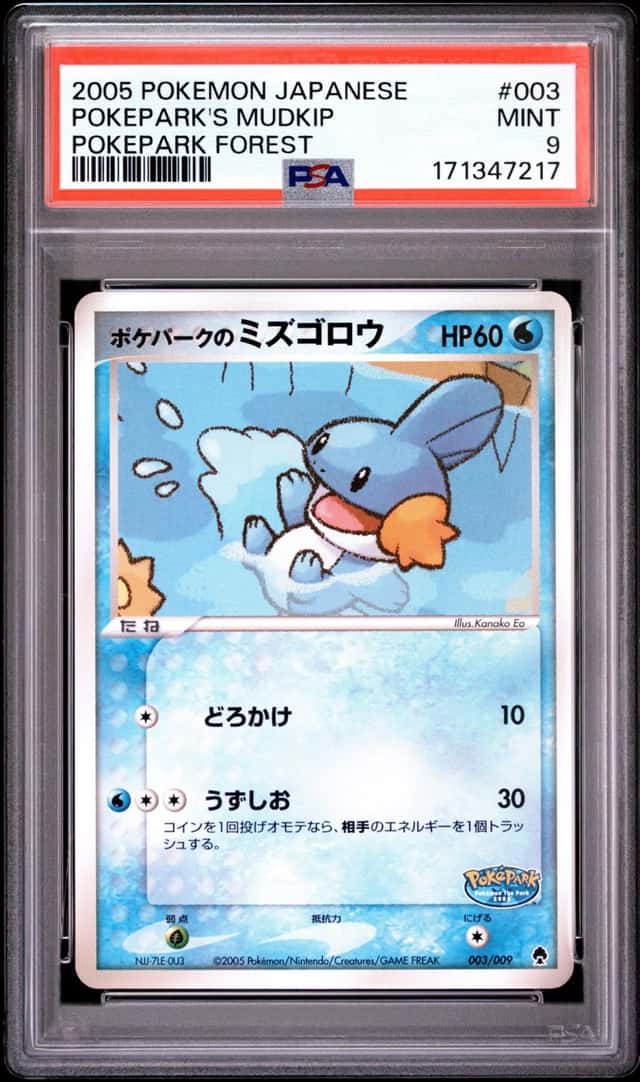 Pokepark's Mudkip