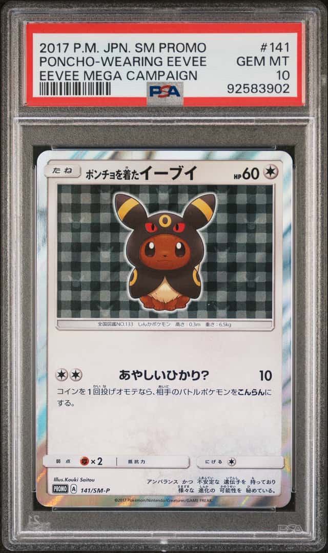 Poncho-Wearing Eevee