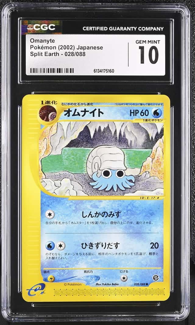 Omanyte