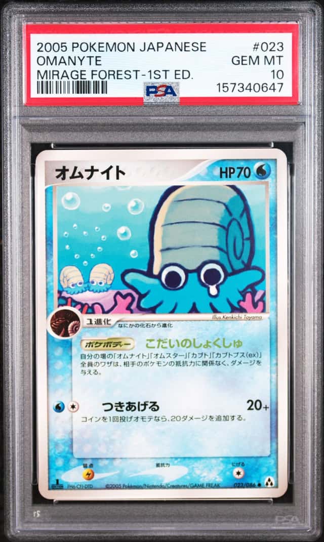 Omanyte