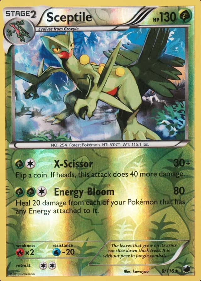 Reverse Holo
