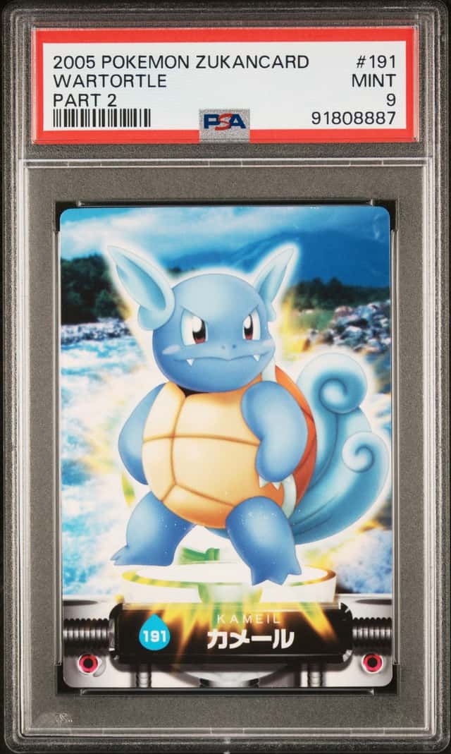 Wartortle