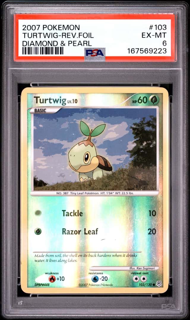 Turtwig