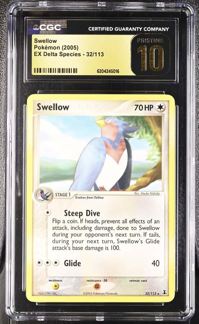 Swellow