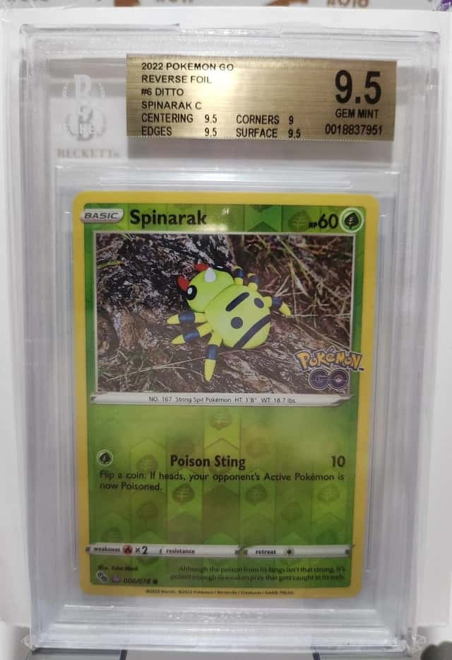 Spinarak
