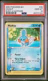 Mudkip
