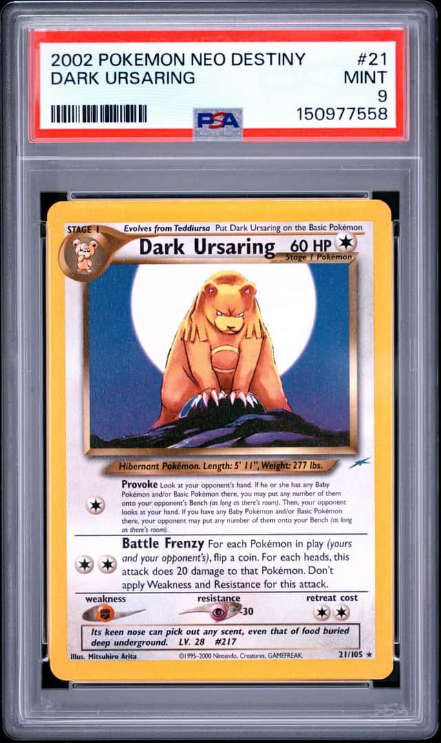 Dark Ursaring
