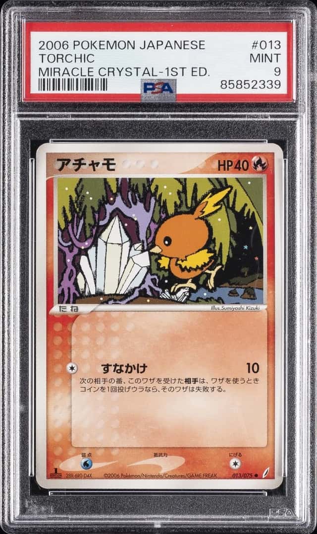 Torchic