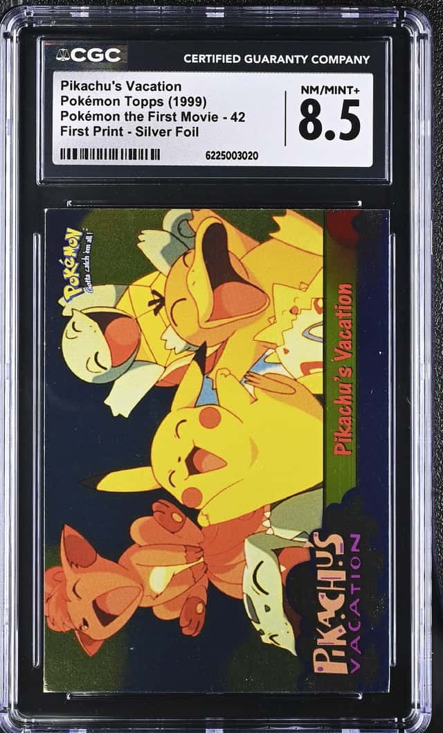 Pikachu's Vacation