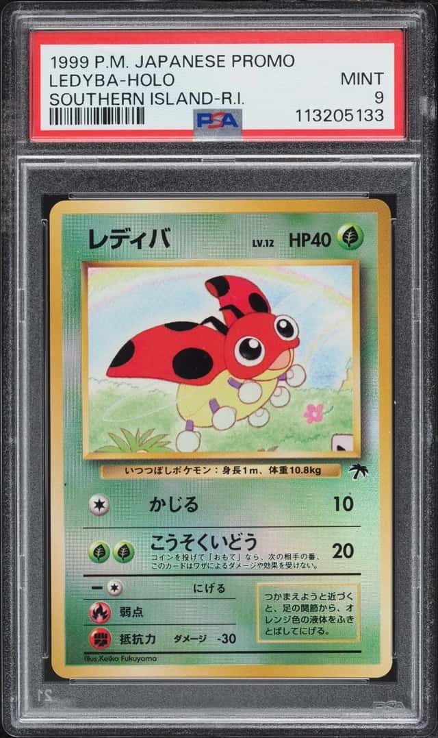 Ledyba
